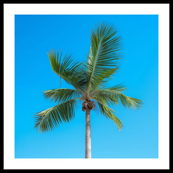 Plakat 40x40cm Wyżyny Nieba zdjęcie 3