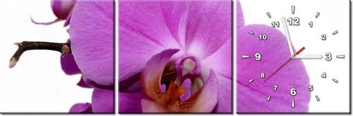 30 90CM OBRAZ 3 ELEM FIOLETOWY STORCZYK ŚCIENNY PŁOTNO DRUK na Arena.pl