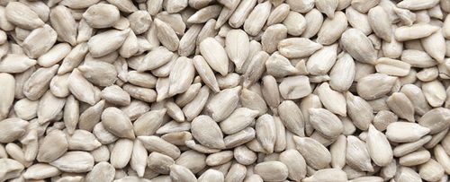 SŁONECZNIK ŁUSKANY KARMA DLA DZIKICH PTAKÓW GOŁĘBI PAPUG POKARM ZIMOWY 25KG na Arena.pl