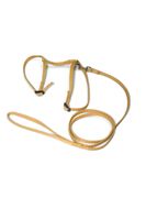 A-059 KOMPLET DLA KOTA V.2 Kolor - Złoty