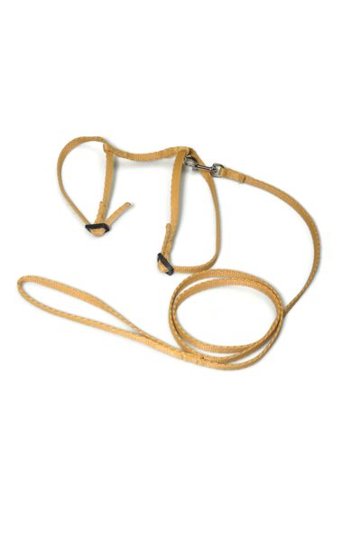 A-059 KOMPLET DLA KOTA V.2 Kolor - Złoty zdjęcie 1