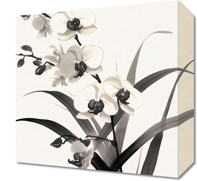 Obraz 30x30cm Orchidea zdjęcie 1