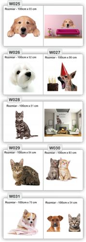 NAKLEJKA naklejki zwierzęta 120 cm koń psy koty na Arena.pl