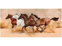 product-compare-58681420