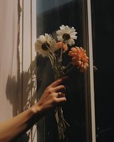 product-compare-59366775