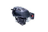 Silnik Cedrus Y139V - 139Cm3 480237