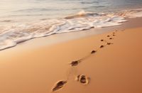 product-compare-59354289