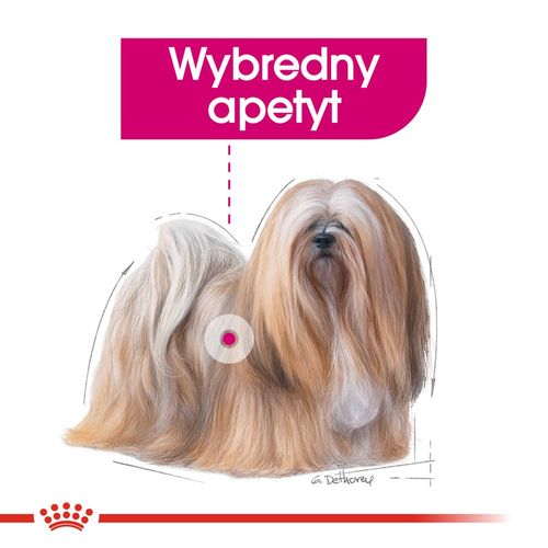 royal canin ccn exigent pasztet 12x85g na Arena.pl