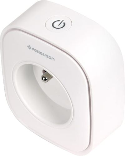 Inteligentne gniazdko Ferguson Smart Plug na Arena.pl