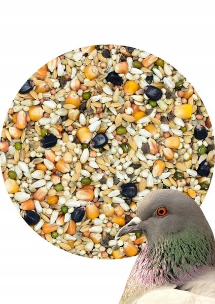 Karma dla gołębi STANDARD S Kampol 25kg zdjęcie 5