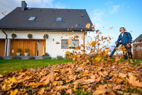 CEDRUS DM05 PRO PROFESJONALNY ODKURZACZ  DMUCHAWA SPALINOWA OGRODOWA DO LIŚCI - OFICJALNY DYSTRYBUTOR - AUTORYZOWANY DEALER CEDRUS na Arena.pl