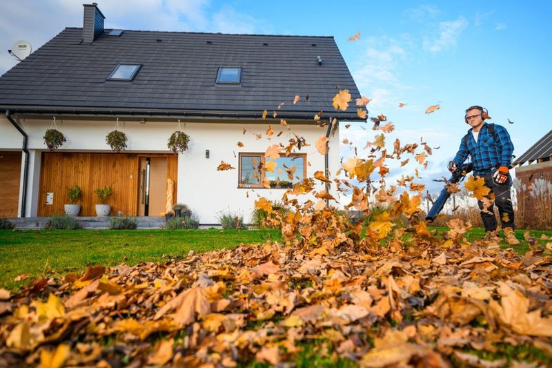 CEDRUS DM05 PRO PROFESJONALNY ODKURZACZ  DMUCHAWA SPALINOWA OGRODOWA DO LIŚCI - OFICJALNY DYSTRYBUTOR - AUTORYZOWANY DEALER CEDRUS zdjęcie 36