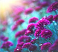 Tło do fotografii produktowej kulinarnej Flat Lay