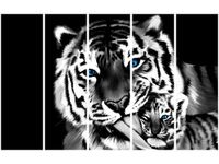 70CM 150CM OBRAZ 5 ELEM TYGRYSY ŚCIENNY