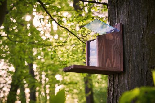 Karmnik Dla Wiewiórek Drewniany Domek Impregnowany Duży Orzechowa na Arena.pl