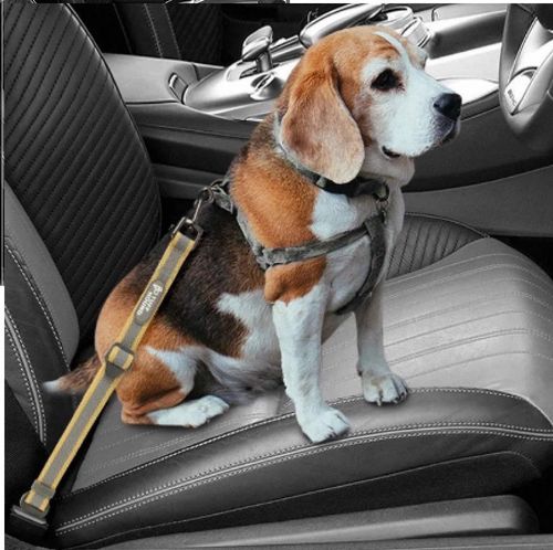 Pasy Bezpieczeństwa dla Psa Smycz do Samochodu na Arena.pl