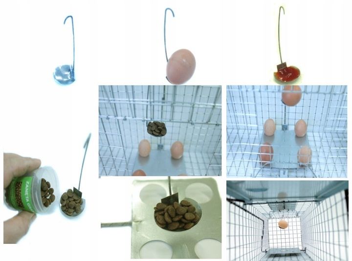 PUŁAPKA ŻYWOŁAPKA NA KUNY NORKI KLATKA 82x17x20 zdjęcie 2