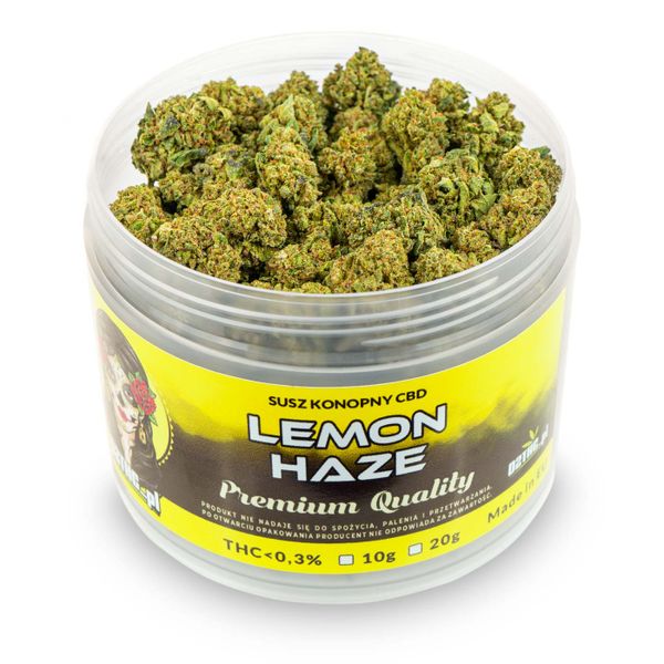 Susz konopny CBD | LEMON HAZE | 100 g zdjęcie 2