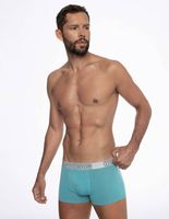 Bokserki męskie Henderson 2 pack COIN L