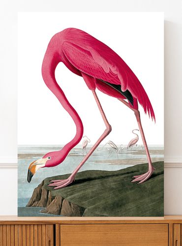 Plakat różowy flaming vintage 29,7x42 cm A3 na Arena.pl