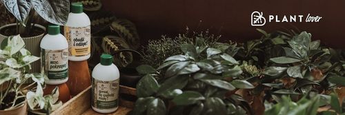 Spraw, by szybciej rosły 500 ml | Plant lover| stymulator wzrostu do roślin na Arena.pl