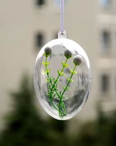 JAJKO AKRYLOWE PRZEŹROCZYSTE JAJKA AKRYLOWE 10CM 10SZT. na Arena.pl