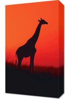 Obraz 30x50cm Żyrafa w Czerni