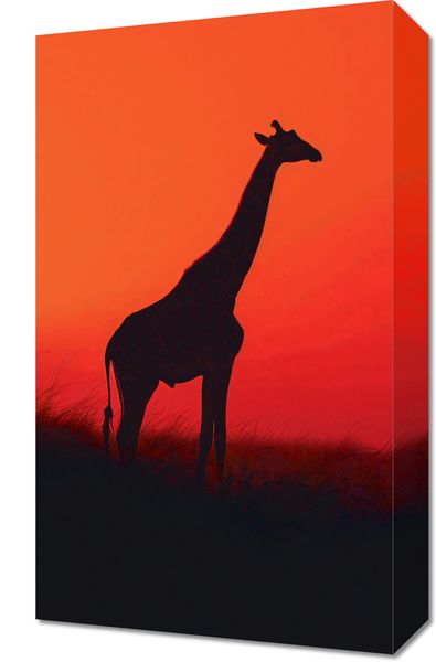 Obraz 30x50cm Żyrafa w Czerni zdjęcie 1