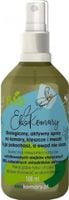 LOV ORGANIC EkoKomary - Aktywny spray na Komary, Kleszcze i Meszki (100 ml)