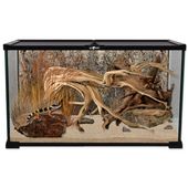 REPTI PLANET terrarium szklane 50,5x30,5x25cm