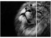 70X50CM SREBRNY LEW DWÓJ OBRAZ NIESYMETRYCZNY
