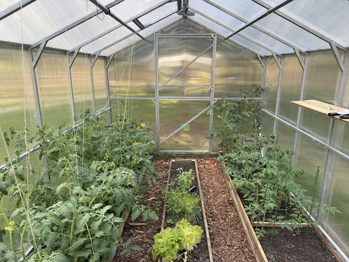 Szklarnia z poliwęglanu DOMEK 2,5x12 m profil 25x25 poliwęglan 6mm na Arena.pl