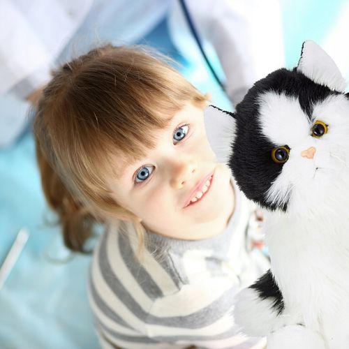 Maskotka kot pluszowy jak żywy przytulanka miękka prezent pluszak kocia na Arena.pl