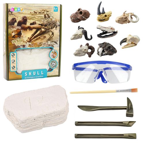ZESTAW ARCHEOLOGICZNY CZASZKI na Arena.pl