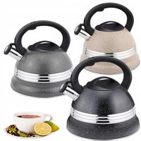 CZAJNIK NA GAZ elegancki tradycyjny stalowy indukcja TRZY KOLORY 3L