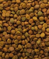 VERSELE-LAGA Classic Cat Variety 10kg