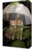 Obraz 30x50cm Podwójna Ochrona