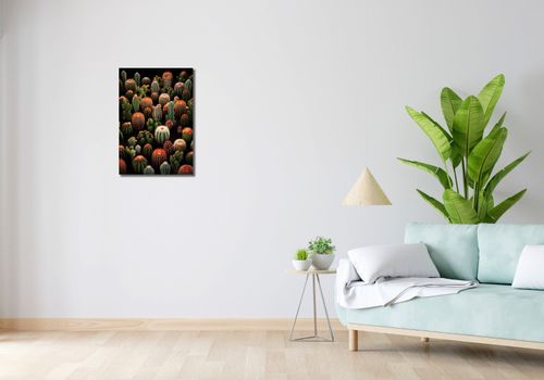 Obraz 40x60cm Ogród Kaktusów na Arena.pl