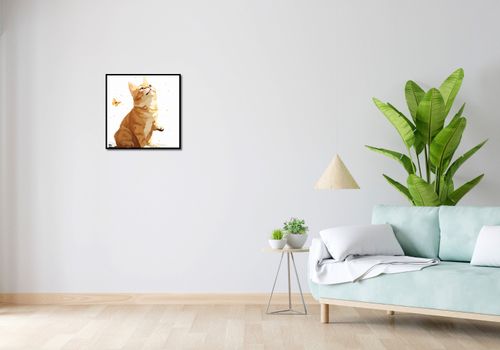 Plakat 50x50cm Motyle i Marzenia na Arena.pl