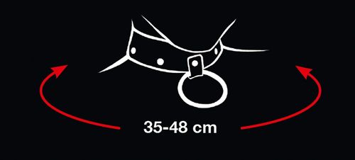 Obroża w serduszka ze smyczą na Arena.pl