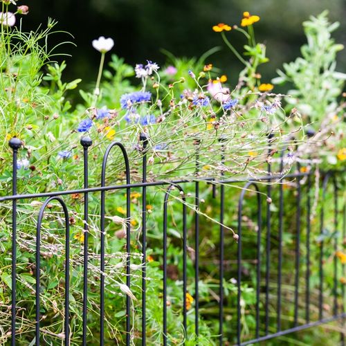 OGRODOWY PŁOT METALOWA PODPORA DO ROŚLIN PODPORY DO KWIATÓW CZARNY na Arena.pl