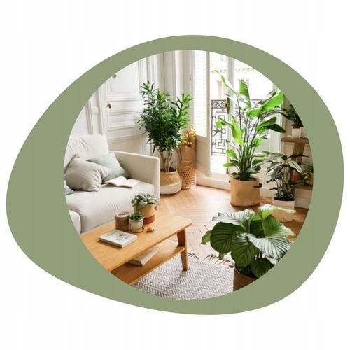 COMPO 2w1 NA CHOROBY I SZKODNIKI - MSZYCE PRZĘDZIORKI WCIORNASTKI na Arena.pl