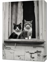 Obraz 50x70cm Para w Oknie