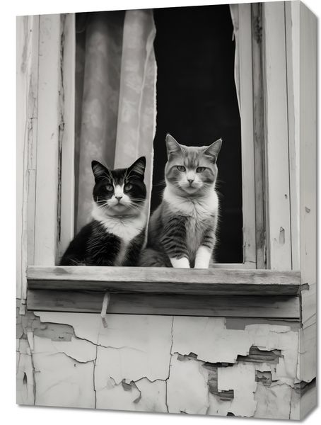 Obraz 50x70cm Para w Oknie zdjęcie 1