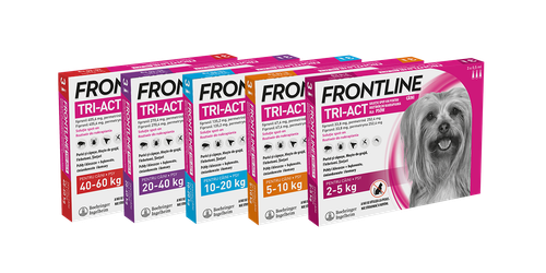 frontline tri-act dla psów 3x2ml na Arena.pl