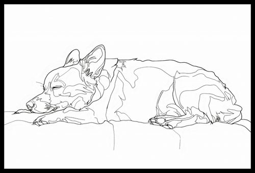 Plakat 60x40cm Śpiący Psiak na Arena.pl