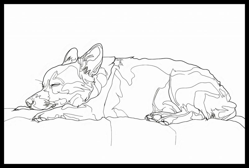 Plakat 60x40cm Śpiący Psiak zdjęcie 2