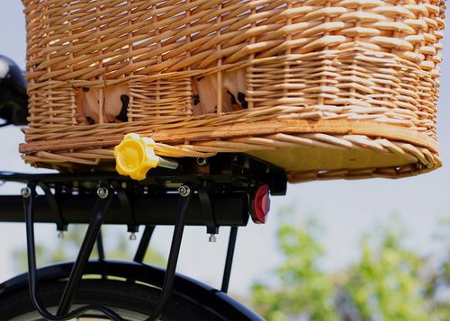 KOSZ ROWEROWY WIKLINOWY NA BAGAŻNIK TRANSPORTER TYLNY KOSZYK DUŻY PODUSZKA na Arena.pl