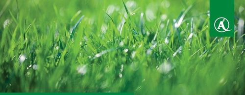 Nawóz do trawy uniwersalny YARA MILA Complex 5kg na Arena.pl