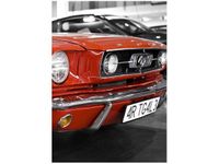 50X70CM KLASYCZNY MUSTANG OBRAZ PION ŚCIAN